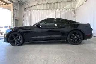 Ford Mustang 2023 EcoBoost 2dr Fastback