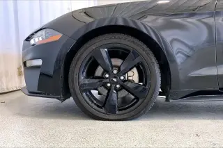 Ford Mustang 2023 EcoBoost 2dr Fastback