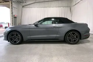 Ford Mustang 2022 EcoBoost Premium 2dr Convertible