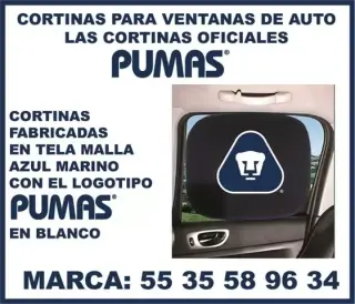 CORTINAS PARA AUTO PERSONALIZA