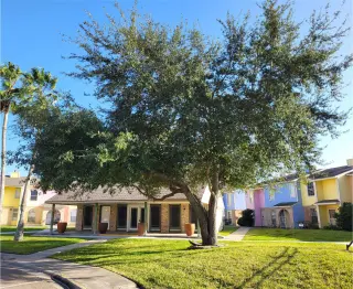 Propiedad en alquiler con 1 dormitorio y 1 baño en Corpus Christi