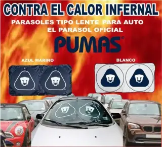 PARASOLES PARA AUTO PERSONALI