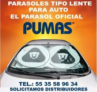 PARASOLES PARA AUTO PERSONALI