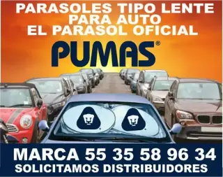 PARASOLES PARA AUTO PERSONALI