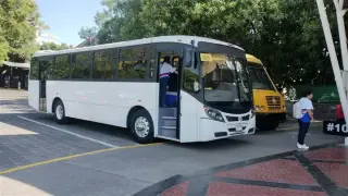 Vacante chofer de transporte