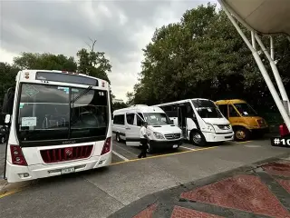 Chofer transporte escolar