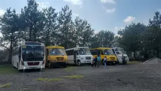 Chofer transporte escolar
