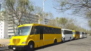 Chofer transporte escolar