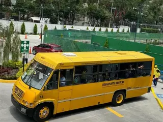 Chofer transporte escolar