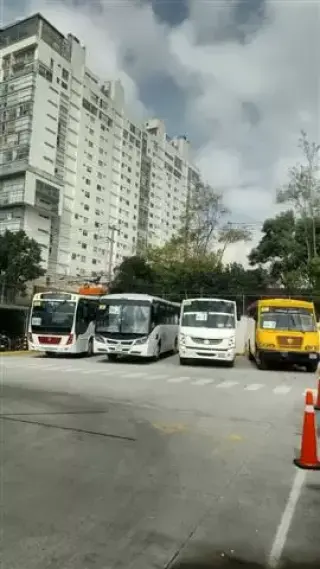 Chofer transporte escolar