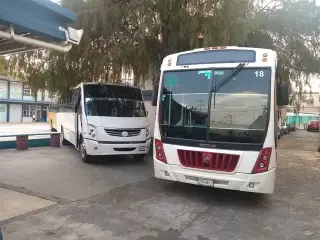 Chofer transporte escolar