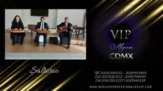 SALTERIO VIP MÚSICA FINA
