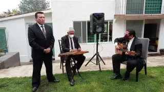 SALTERIO VIP MÚSICA FINA