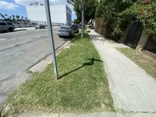 Jardinero Long Beach