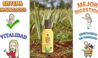 Naturópata te ayuda en dieta