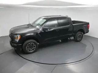 Ford F-150 2023 4x4 XLT 4dr SuperCrew 6.5 ft. SB