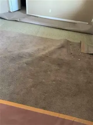 Busco trabajo
