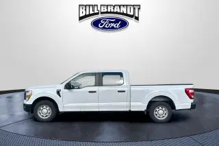 Ford F-150 2021 4x2 XL 4dr SuperCrew 6.5 ft. SB