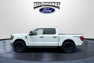 Ford F-150 2023 4x4 XL 4dr SuperCrew 5.5 ft. SB