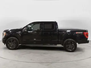 Ford F-150 2021 4x4 XLT 4dr SuperCrew 6.5 ft. SB