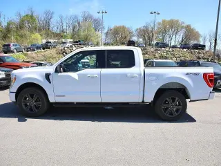 Ford F-150 2023 4x4 XLT 4dr SuperCrew 6.5 ft. SB