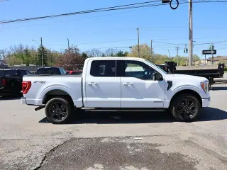 Ford F-150 2023 4x4 XLT 4dr SuperCrew 6.5 ft. SB