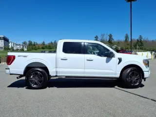 Ford F-150 2022 4x4 XLT 4dr SuperCrew 5.5 ft. SB