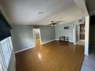 Rentó casa