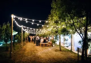 Guirnaldas con Luces