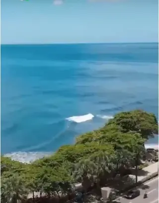 Viva como un Rey, Vista al mar