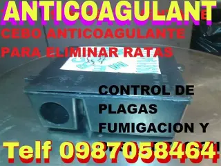 CEBO ANTICOAGULANTE PARA RATAS