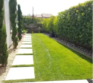 Lorenzo's Tree Services