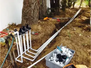 Lorenzo's Tree Services