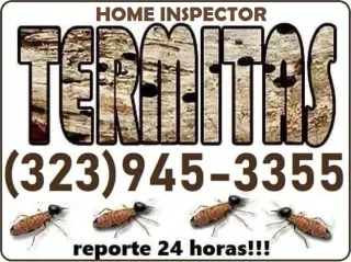 FUMIGACION TERMITAS MAYWOOD.-