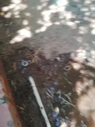 PLUMBING SERVICE