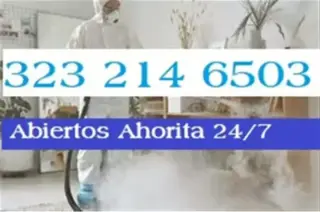 FUMIGACION 100% GARANTIZADO$49