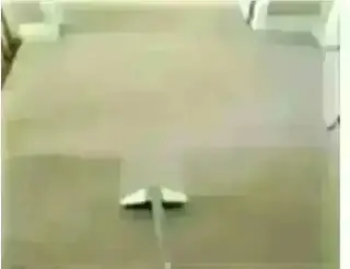 CARPET CLEANING