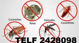 EXTERMINIO De CUCARACHAS Pifo