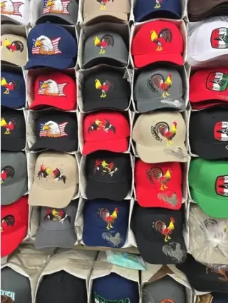 Gorras y variedades
