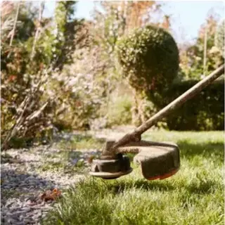 Servicio de Jardineria!!