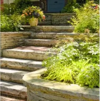 Servicio de Jardineria!!