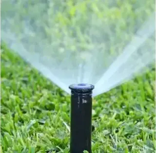 Servicio de Jardineria!!