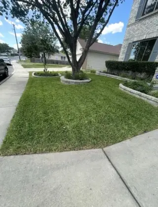 🌿 Lawn Care & Landscaping 🌿