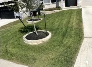 🌿 Lawn Care & Landscaping 🌿