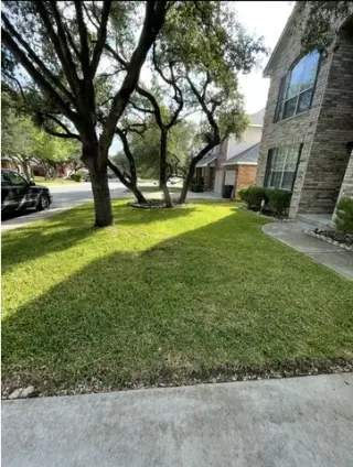 🌿 Lawn Care & Landscaping 🌿