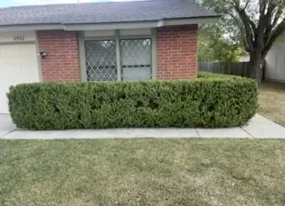 🌿 Lawn Care & Landscaping 🌿