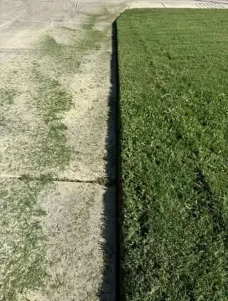🌿 Lawn Care & Landscaping 🌿