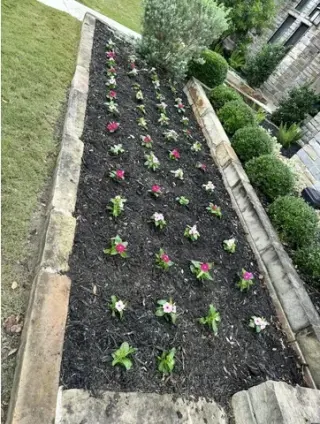 🌿 Lawn Care & Landscaping 🌿