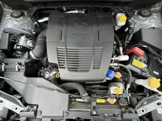 Subaru Forester 2023 AWD Wilderness 4dr Crossover