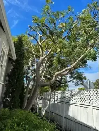 Mantenimiento de Jardines